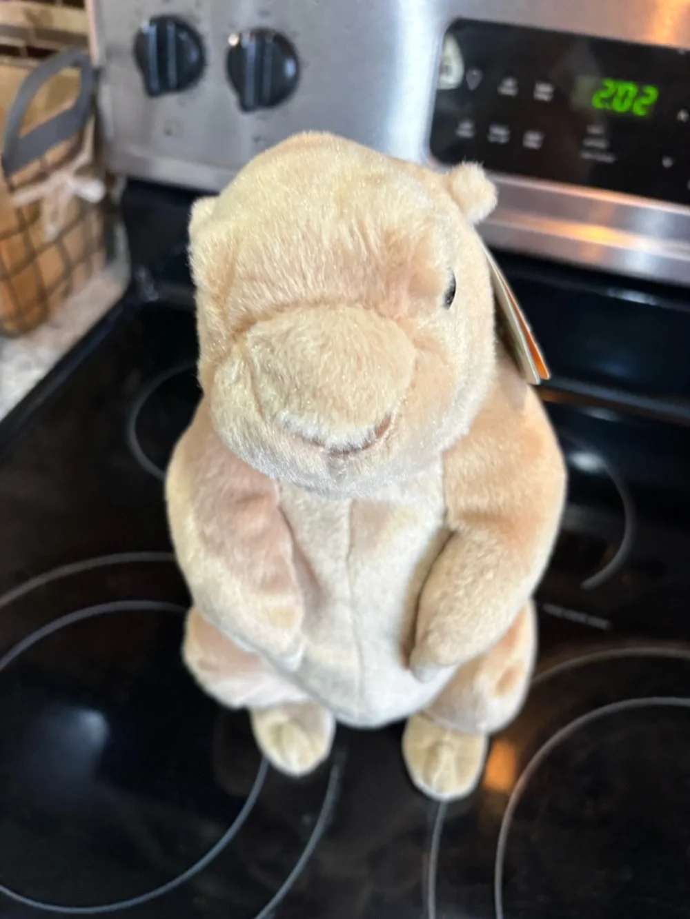 Plush Small Pet Toy - Cream Standing Plush Prairrie Dog